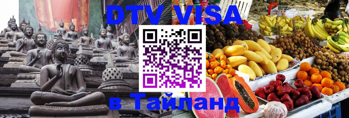 Оформление DTV визы под ключ: стоимость и тарифы, только загранпаспорт - Сана 